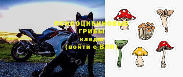 прущая мука Новодвинск