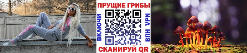 Галлюциногенные грибы Magic Shrooms купить закладку МЕГА ССЫЛКА Ужур